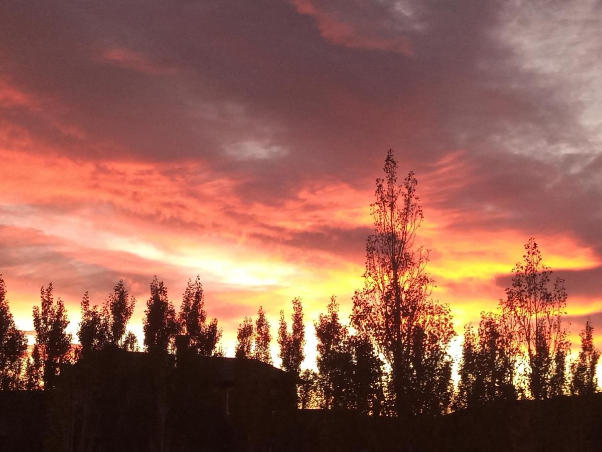 Cielos Patagonicos Aparts El Calafate Extérieur photo